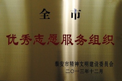 优秀志愿者组织2013